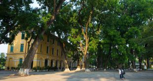 bieu cam ve mai truong than yeu 310x165 - 19 Đề thi thử THPT Quốc gia môn Vật Lý năm 2020